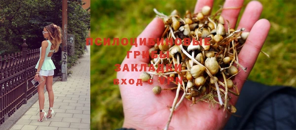 mix Армянск