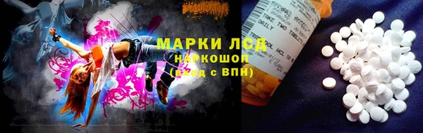 сатива Иннополис
