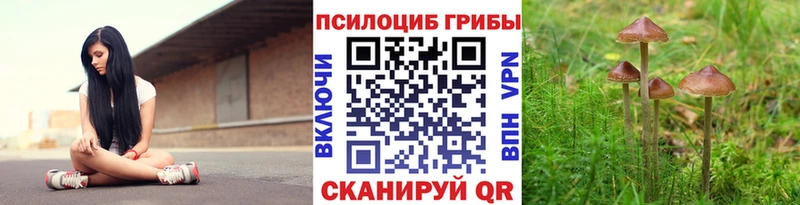 Галлюциногенные грибы мухоморы  ссылка на мегу вход  Сасово  как найти закладки 